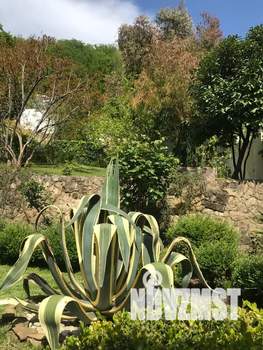 Студия квартира, посуточно, 22м2, 1/3 этаж