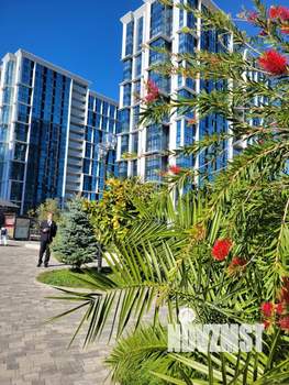 Студия квартира, вторичка, 24м2, 4/19 этаж