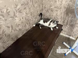 2-к квартира, вторичка, 51м2, 2/5 этаж