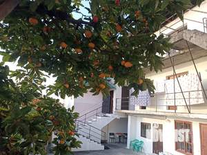 Студия квартира, вторичка, 20м2, 1/2 этаж