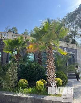 Студия квартира, сданный дом, 25м2, 3/8 этаж