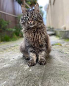 Студия квартира, вторичка, 36м2, 3/7 этаж