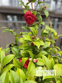 1-к квартира, вторичка, 38м2, 13/20 этаж