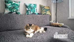 3-к квартира, вторичка, 60м2, 2/2 этаж