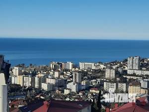 Студия квартира, вторичка, 33м2, 3/3 этаж