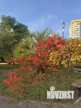 1-к квартира, вторичка, 35м2, 1/12 этаж