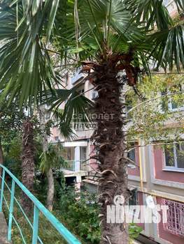 1-к квартира, вторичка, 37м2, 1/10 этаж