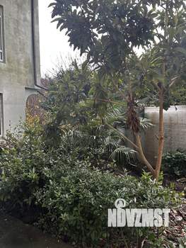 Студия квартира, вторичка, 32м2, 1/4 этаж