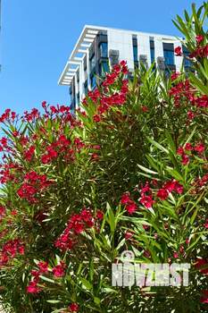 2-к квартира, вторичка, 51м2, 4/8 этаж