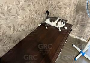 2-к квартира, вторичка, 51м2, 2/5 этаж