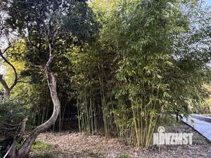 Студия квартира, вторичка, 21м2, 3/15 этаж