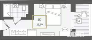 1-к квартира, вторичка, 24м2, 10/10 этаж
