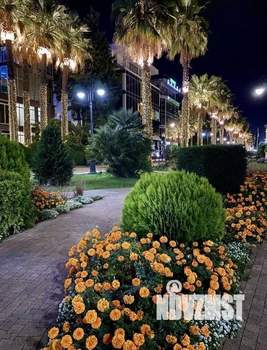 1-к квартира, вторичка, 46м2, 8/14 этаж