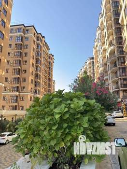 1-к квартира, вторичка, 26м2, 2/12 этаж