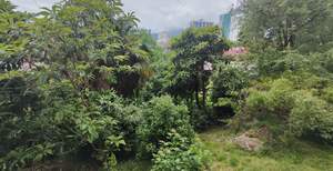 2-к квартира, вторичка, 53м2, 1/6 этаж