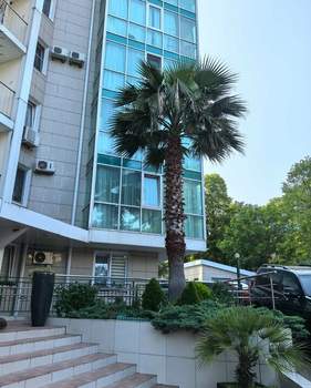 2-к квартира, вторичка, 50м2, 2/17 этаж