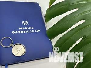 Студия квартира, вторичка, 25м2, 3/8 этаж