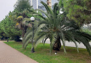 1-к квартира, вторичка, 35м2, 3/10 этаж