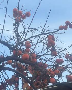 2-к квартира, вторичка, 46м2, 1/4 этаж