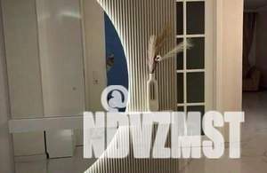 2-к квартира, вторичка, 55м2, 15/24 этаж