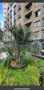 2-к квартира, сданный дом, 35м2, 9/16 этаж