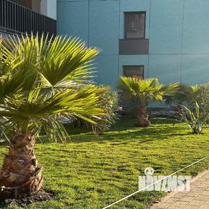 1-к квартира, вторичка, 30м2, 10/15 этаж