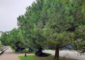 1-к квартира, вторичка, 35м2, 3/10 этаж