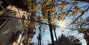 2-к квартира, вторичка, 55м2, 1/2 этаж