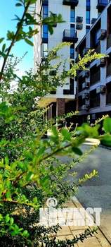 3-к квартира, вторичка, 75м2, 2/8 этаж