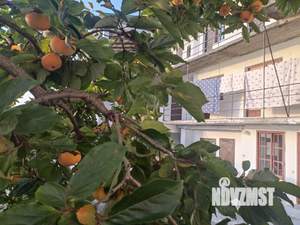 Студия квартира, вторичка, 20м2, 1/2 этаж