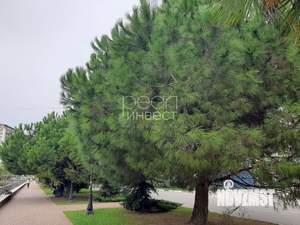 1-к квартира, вторичка, 35м2, 3/10 этаж