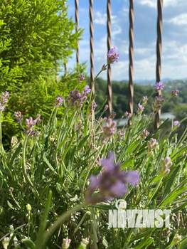 3-к квартира, вторичка, 95м2, 5/5 этаж