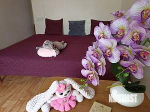 Студия квартира, вторичка, 20м2, 2/3 этаж