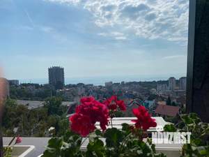 Студия квартира, вторичка, 31м2, 5/5 этаж