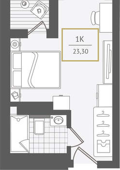 1-к квартира, вторичка, 24м2, 10/10 этаж