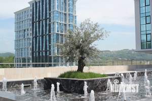 1-к квартира, вторичка, 25м2, 10/19 этаж