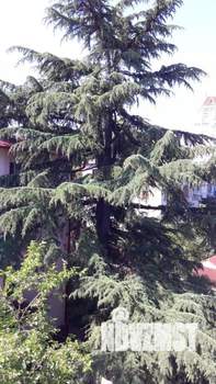 1-к квартира, вторичка, 35м2, 4/4 этаж