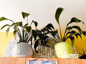 Студия квартира, вторичка, 20м2, 1/8 этаж