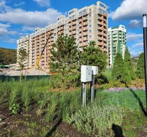 1-к квартира, вторичка, 33м2, 6/12 этаж