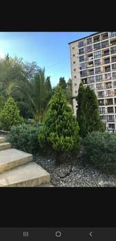 Студия квартира, вторичка, 31м2, 4/11 этаж