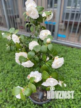 1-к квартира, вторичка, 38м2, 13/20 этаж