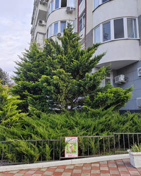 1-к квартира, вторичка, 22м2, 1/19 этаж