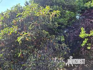 3-к квартира, вторичка, 74м2, 2/6 этаж