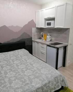 Студия квартира, вторичка, 24м2, 1/3 этаж