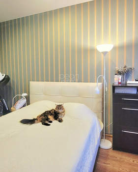 2-к квартира, вторичка, 43м2, 3/17 этаж