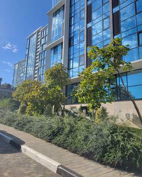 Студия квартира, вторичка, 24м2, 4/19 этаж